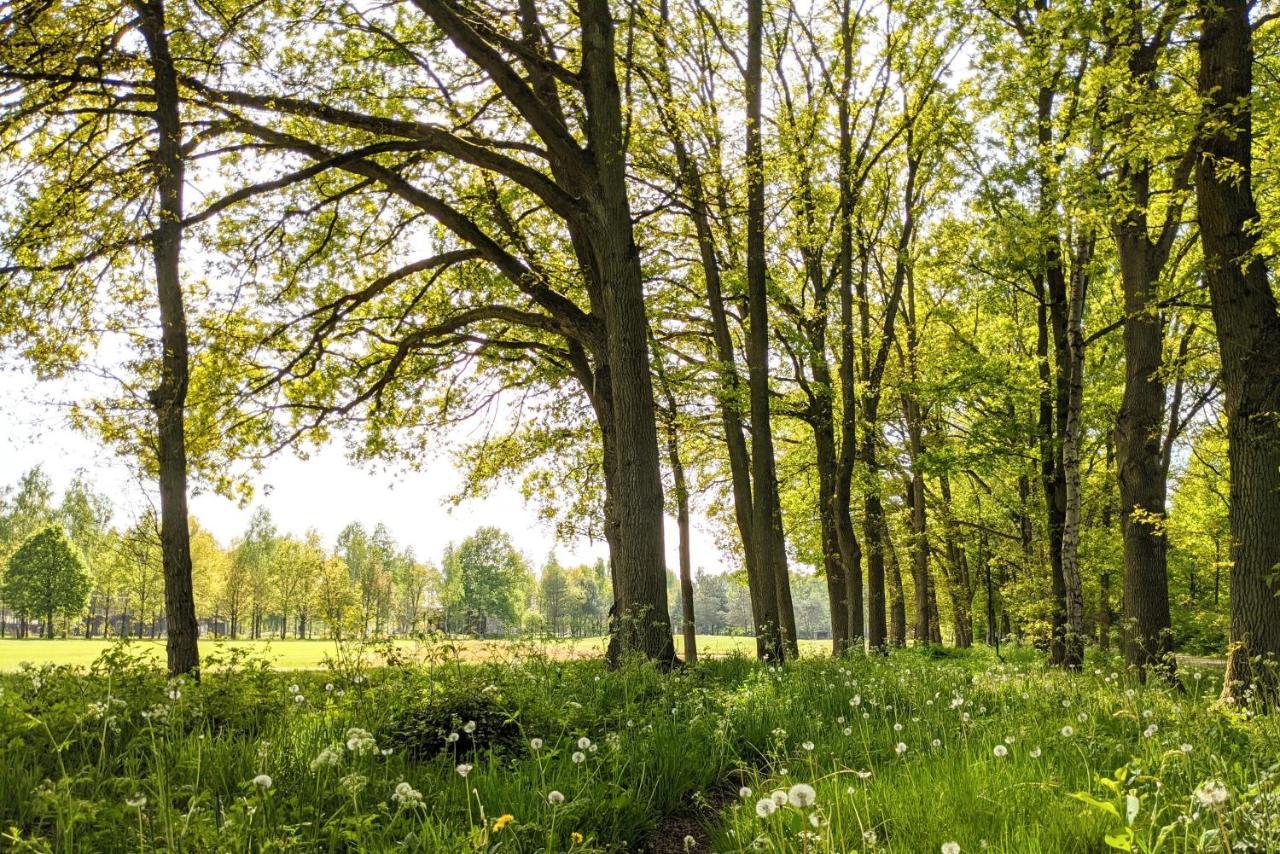 Camping De Vinkenkamp Lieren 외부 사진